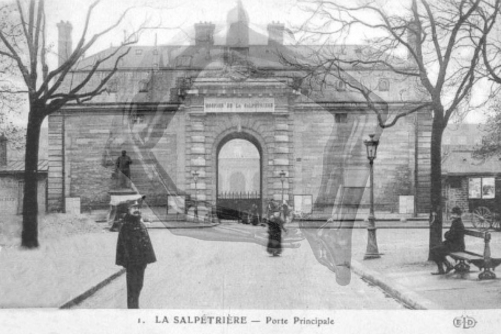 Documento e espetáculo: Charcot e a invenção da&nbsp;histeria